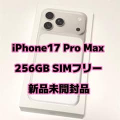 iPhone17 Pro Max 256GB SIM 프리 실버