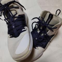 最終値下げ!　NIKEハイパーダンク29.0㌢のサムネイル