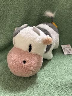 m84012153147_1.jpg?1772375179