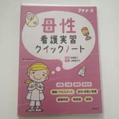 母性看護実習クイックノート プチナース 照林社のサムネイル