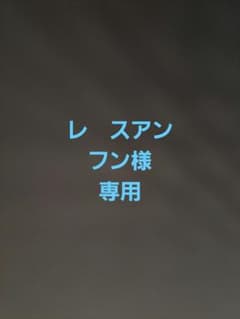 専用ページのサムネイル