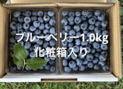 ブルーベリー1.0kg クール便 化粧箱入り - メルカリ