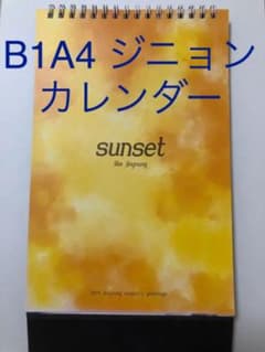 B1A4 ジニョン　非売品カレンダー2019のサムネイル