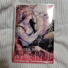 麗しの大公閣下が手懐けたのは、一途すぎるハイスペ騎士でした BL小説のサムネイル