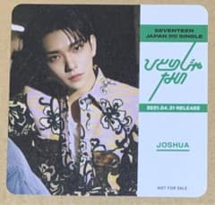 SEVENTEEN 조슈아 혼자가 아닌 코스터