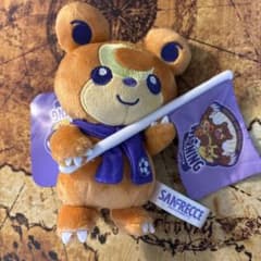 サンフレッチェ×ポケモンセンターヒロシマ マスコット ヒメグマ