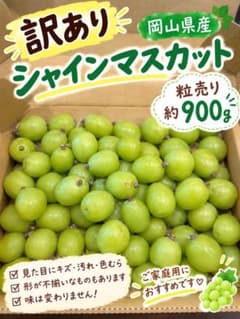 岡山県産 シャインマスカット 粒訳あり 約900g - メルカリ
