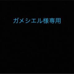 ガメシエル様専用のサムネイル