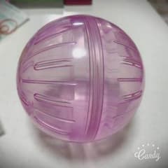 ハムスター コロコロボールのサムネイル