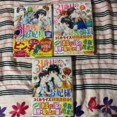 31番目のお妃様 3巻セットのサムネイル