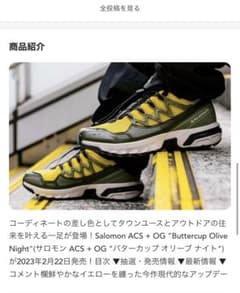 サロモン Salomon ACS + OG 