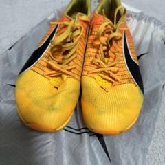 Puma エヴォスピード スプリントニトロ2 25.5 PUMA｜メンズ エヴォスピード ディスタンス ニトロ エリート+4