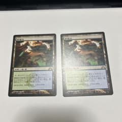 繁殖池 日本語2枚セット MTG マジックのサムネイル