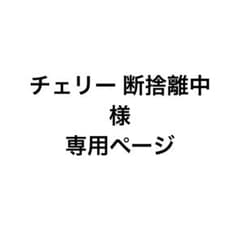 チェリー 断捨離中様専用ページのサムネイル