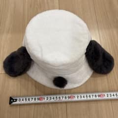 ユニバ　スヌーピーバケハのサムネイル