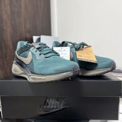 ナイキ エア ズーム ペガサス 41 SP HQ6025-300 Nike Air Zoom Pegasus 41 SP Men's Shoes. Nike.com