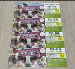 限定値下げ！マザー牧場 入場ご招待券2枚【2025年9月30日まで】のサムネイル