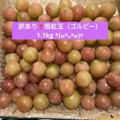 訳あり❣️悟紅玉（ゴルビー）1.1kgのサムネイル