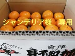 会津みしらず柿　5kg  無農薬　会津身知らず柿のサムネイル