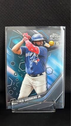 世界で1枚【送料込】PSA10 鑑定済 Topps MLB ゲレーロjr カード 世界で1枚【送料込】PSA10 鑑定済 Topps MLB ゲレーロjr カード 世界で