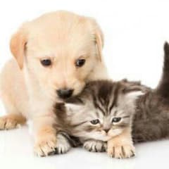 きぃ様専用時計２本おまとめのサムネイル