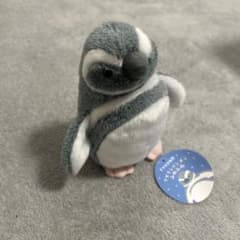 すみだ水族館　マゼランペンギンのサムネイル