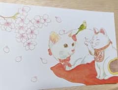 [원화 어레인지 수공예] 벚꽃과 섹세이인코 흰 고양이 초대 고양이 엽서
