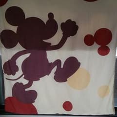 こはな様専用♡掛け布団カバー シングルのサムネイル