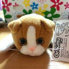 エレコムGroomy　スコティッシュフォールドのサムネイル