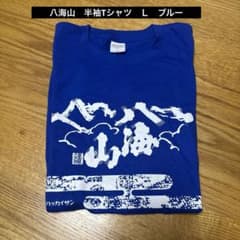 ドジャース Tシャツ 八海山コラボ Lサイズ　2枚セット 八海山✖️ドジャースコラボ半袖Tシャツ L ブルー - メルカリ