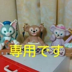 TDS 　　専用ですのサムネイル