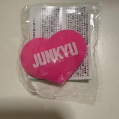 TREASURE ジュンギュ うちわアクセサリー カプセルトイのサムネイル