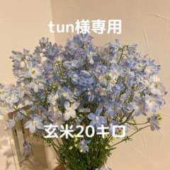 【tun様専用商品】のサムネイル