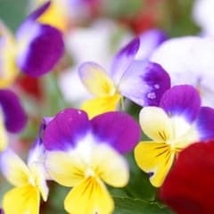 OMI♡Tさん専用☆のサムネイル