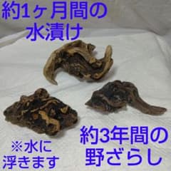 天然流木 3個セットのサムネイル