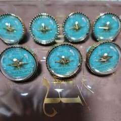 m84130405397_1.jpg?1763552425