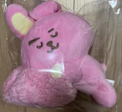 Brand new BT21 MOON COOKY plush toy