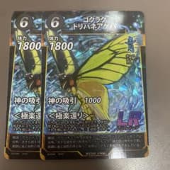 蟲神器　ゴクラクトリバネアゲハ 2枚セット 虫神器 6弾のサムネイル
