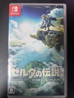 젤다의 전설 TEARS OF THE KINGDOM