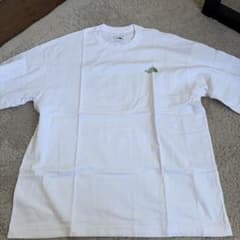THE NORTH FACE Tシャツ ホワイト グリーンのサムネイル