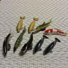 魚フィギュア いっぱいのサムネイル