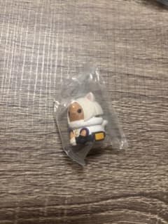 ヒロアカニャンコ　ミルコ