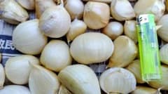 信州産無臭ニンニク　おすそわけのサムネイル