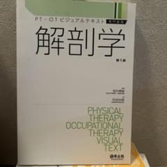 PT・OTビジュアルテキスト専門基礎 解剖学 第１版のサムネイル