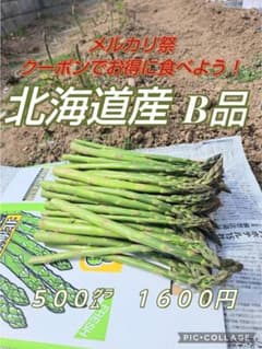 北海道産B品アスパラ　サイズ不揃い５００㌘のサムネイル