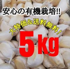 送料無料】 2025年産 無農薬 バラニンニク 5kg ニンニク 5キロ - メルカリ
