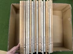 書跡名品叢刊 21 冊 二玄社 中国 書道 書画 法帖 法書 古書 古本