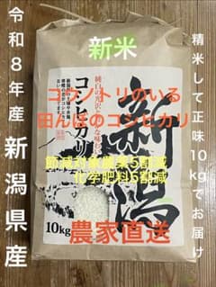 令和8年産 新潟県産コシヒカリ 白米　10kg 農家直送 化学肥料・対象農薬低減のサムネイル