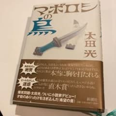マボロシの鳥のサムネイル