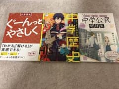 Junior High School History and Civics Reference Books (Set of 3)